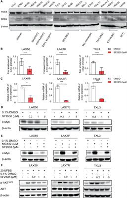 Preclinical Evaluation of a Novel Dual Targeting PI3Kδ/BRD4 Inhibitor, SF2535, in B-Cell Acute Lymphoblastic Leukemia